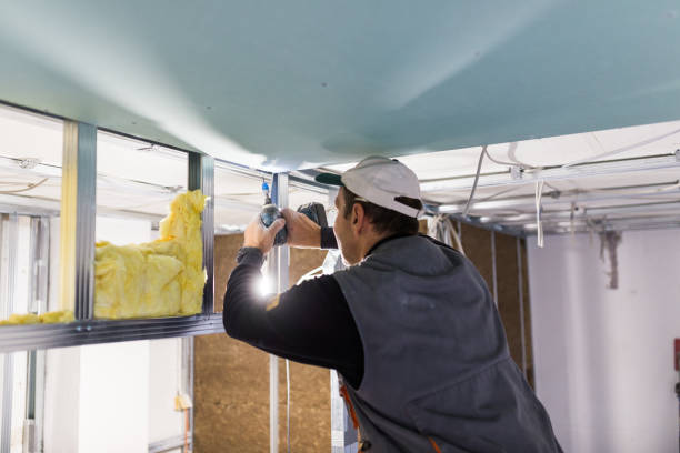 Best Insulation Removal Services  in Tchula, MS