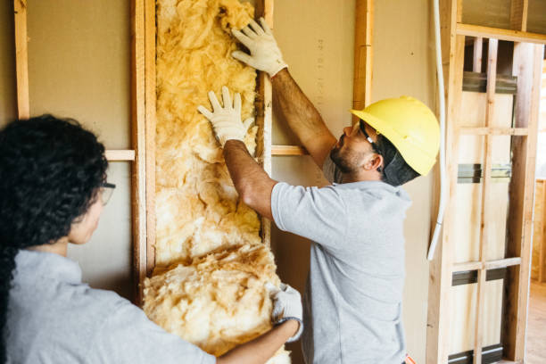 Best Insulation Contractor Near Me  in Tchula, MS