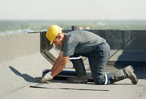 Best Spray Foam Insulation  in Tchula, MS