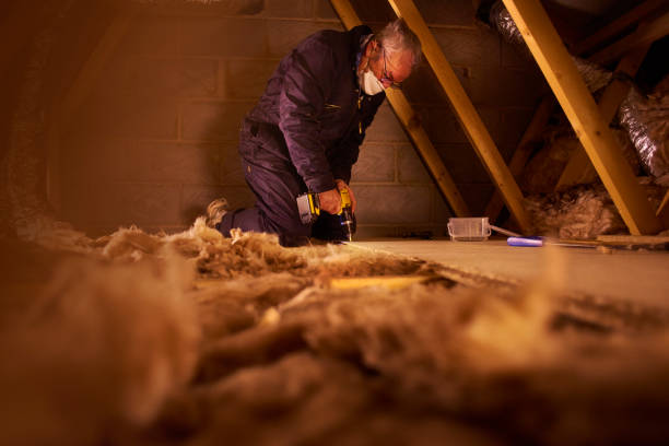 Attic Insulation Near Me in Tchula, MS